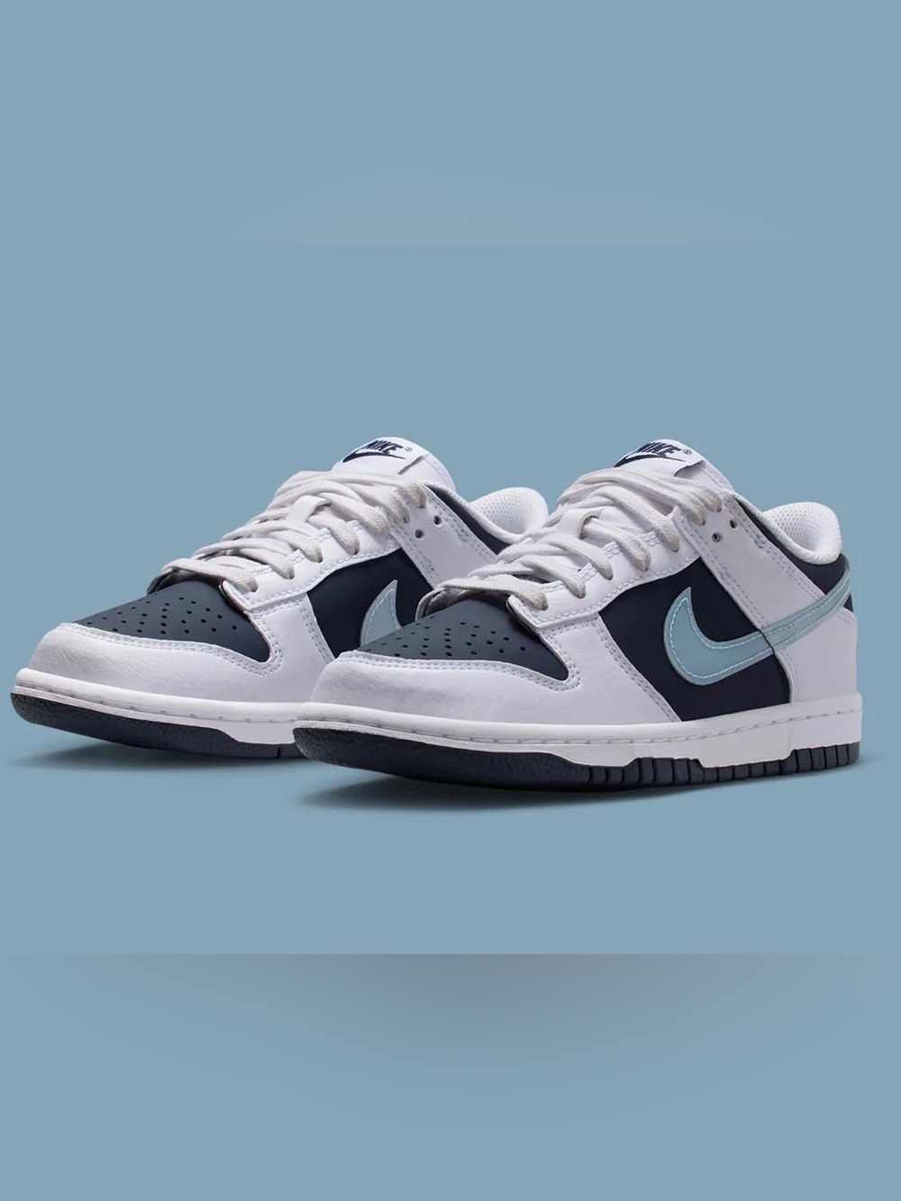 Nike Dunk Lows GS